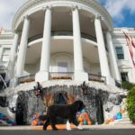 ΗΠΑ: Πέθανε ο Μπο, ο σκύλος του Μπαράκ Ομπάμα