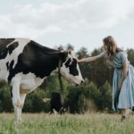 Τα ζώα θα αναγνωρίζονται ως όντα με συναισθήματα στη Μ. Βρετανία