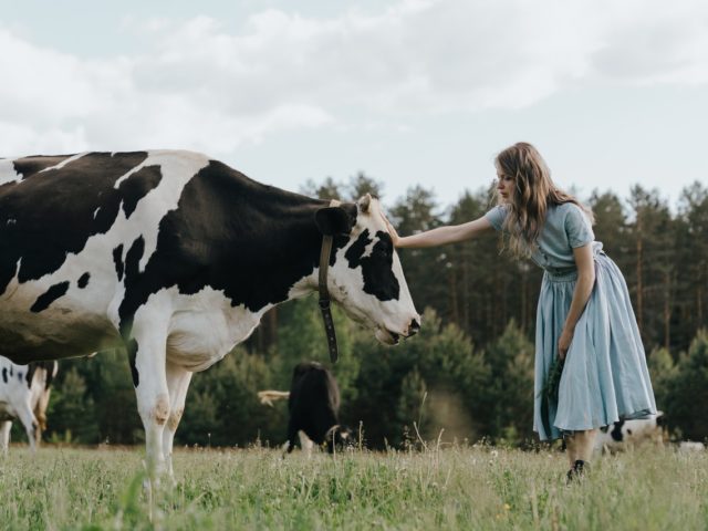 Τα ζώα θα αναγνωρίζονται ως όντα με συναισθήματα στη Μ. Βρετανία