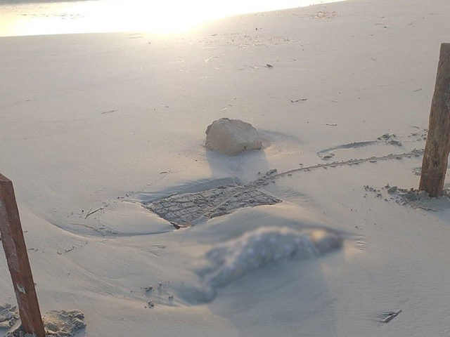 Εγκαταλελειμμένα πτώματα παιδιών προσφύγων και αδιαφορία των αρχών στη Λιβύη