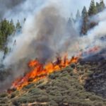 Σε εξέλιξη η πυρκαγιά στην Κερατέα