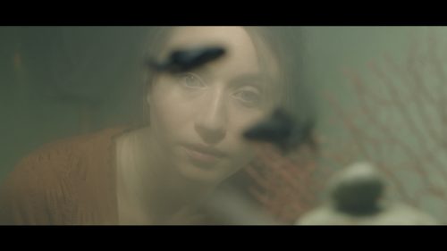 Η Θεσσαλονίκη πάει Κάννες!