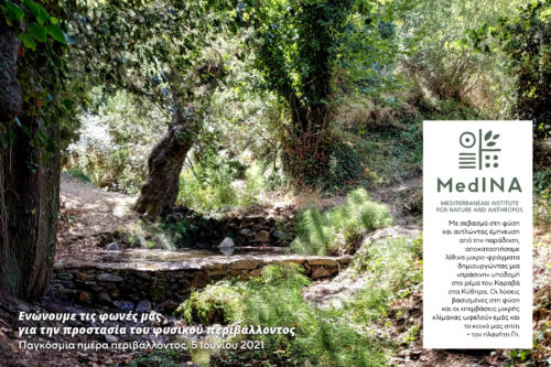 Παγκόσμια Ημέρα Περιβάλλοντος: 31 οργανώσεις ενώνουν τις φωνές τους για την προστασία της φύσης