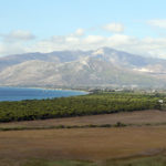 Στην αποψίλωση έκτασης στην καρδιά του Εθνικού Πάρκου Σχινιά προχώρησε χθες ιδιώτης εργολάβος