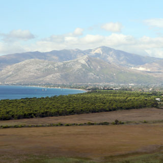 Στην αποψίλωση έκτασης στην καρδιά του Εθνικού Πάρκου Σχινιά προχώρησε χθες ιδιώτης εργολάβος