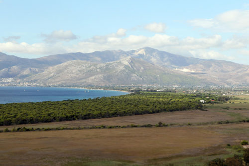 Στην αποψίλωση έκτασης στην καρδιά του Εθνικού Πάρκου Σχινιά προχώρησε χθες ιδιώτης εργολάβος