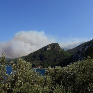 Υπό πλήρη έλεγχο η πυρκαγιά στη Σάμο