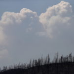 Ανεξέλεγκτη πυρκαγιά στην Καλιφόρνια επηρεάζει τις μετεωρολογικές συνθήκες