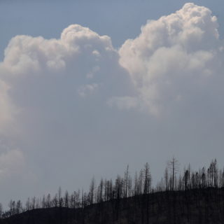 Ανεξέλεγκτη πυρκαγιά στην Καλιφόρνια επηρεάζει τις μετεωρολογικές συνθήκες