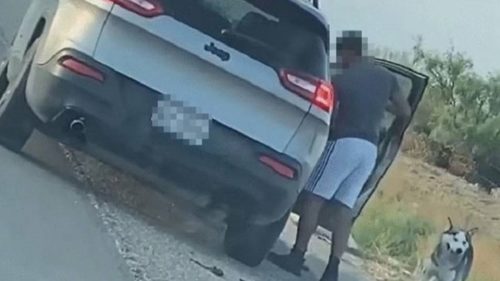 Τέξας: Άνδρας εγκατέλειψε τον σκύλο του και συνελήφθη [ΒΙΝΤΕΟ]