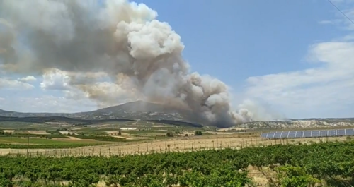 Μεγάλη φωτιά στο Καλέντζι Κορινθίας [BINTEO]