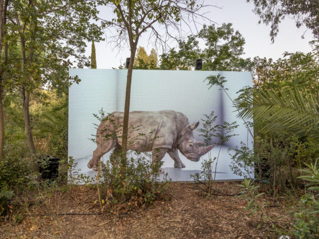 Εσύ κι εγώ, στο Πεδίον του Άρεως. Παρέα με την Τεχνητή Νοημοσύνη. «Μπορείς να κρυφτείς;»