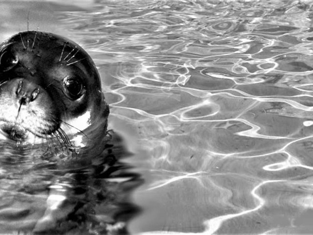 «Εσύ μου στέρησες τη ζωή, μα εγώ αποζητούσα μονάχα χάδια και αγκαλιές»
