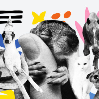 Εναλλακτική Θεραπεία Ζώων: Μια σελίδα στο Facebook σου γνέφει πως άνθρωποι και ζώα είμαστε πλασμένοι από το ίδιο υλικό