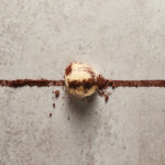 Παγωτό παρμεζάνα; Παγωτό με λευκή τρούφα ή  παγωτό σαμπάνια τριαντάφυλλο;