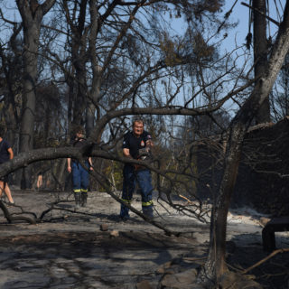 Στάχτη έγιναν περισσότερα από 3.000 στρέμματα στην Αχαΐα