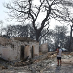 Μέτρα στήριξης των πυροπλήκτων της Αχαΐας ανακοίνωσε ο Πέτσας