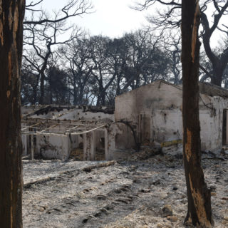 Κηρύχθηκαν σε κατάσταση έκτακτης ανάγκης οι πυρόπληκτες περιοχές της Αχαΐας