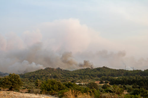 Σε ύφεση τα μέτωπα της πυρκαγιάς στη Ρόδο