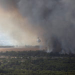 «Να κηρυχθούν αναδασωτέες εκτάσεις οι πληγείσες περιοχές» ζητούν με ψήφισμα χιλιάδες πολίτες