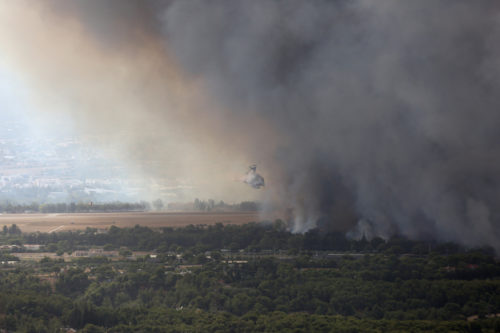 «Να κηρυχθούν αναδασωτέες εκτάσεις οι πληγείσες περιοχές» ζητούν με ψήφισμα χιλιάδες πολίτες