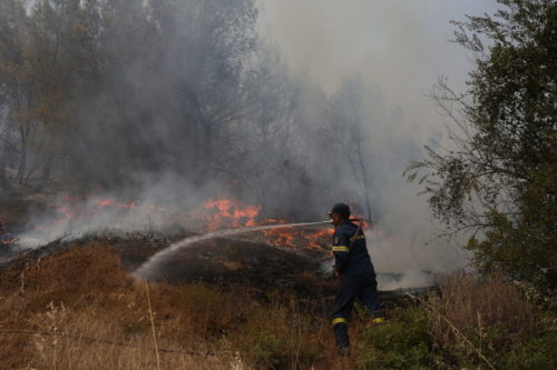 Ρόδος: Αναζωπύρωση στην περιοχή Καλαμώνας