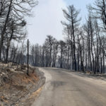 Τρίτη στην Μεσόγειο η Ελλάδα σε καμένες εκτάσεις