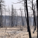 Αστεροσκοπείο: Αύξηση 26% του αριθμού πυρκαγιών και 450% της καμένης έκτασης στην Ελλάδα φέτος