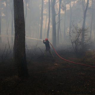 Οι φετινές καμένες εκτάσεις είναι ήδη 180% τουλάχιστον πάνω από τον μέσο όρο της περιόδου 2008-2020