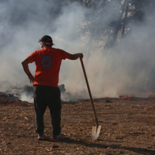 Πυρκαγιά στην Ηλεία: Μάχη με τις αναζωπυρώσεις