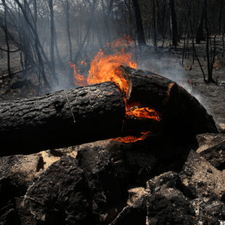 Περισσότερα από 650.000 στρέμματα έγιναν στάχτη σε Εύβοια, Αττική και Λακωνία
