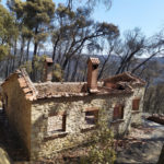 Μενδώνη: «Ζημιές σε επτά κτήρια στο Τατόι από την πυρκαγιά – Άθικτα τα αντικείμενα στα κοντέινερς»