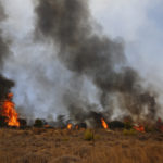 Φωτιά σε Κερατέα, Βίλια: Εκκενώνεται o οικισμός Βενίζα