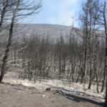 Μαίνεται το πύρινο μέτωπο στα Βίλια