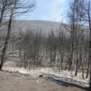 Μαίνεται το πύρινο μέτωπο στα Βίλια