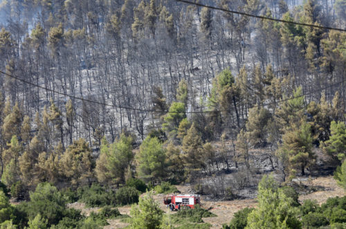Πρώην αντιδήμαρχος Πολιτικής Προστασίας δικάζεται ως εμπρηστής για τις καταστροφικές φωτιές του 2021 στα Βίλλια