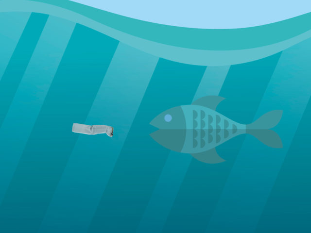 Τί «κόστος» έχει μια πεταμένη γόπα στην άμμο;