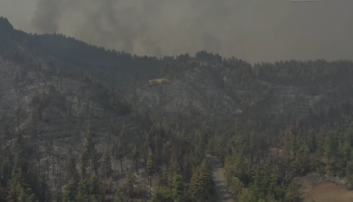 «Κρανίου τόπος» η Βόρεια Εύβοια – Εικόνες από drone αποτυπώνουν το μέγεθος της καταστροφής  [ΒΙΝΤΕΟ]