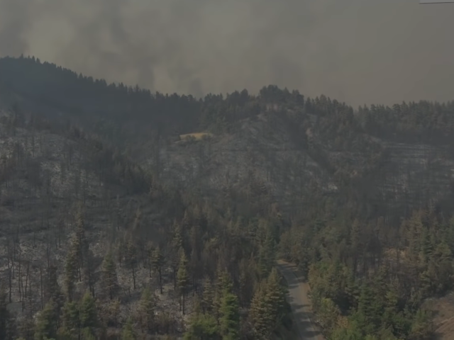 «Κρανίου τόπος» η Βόρεια Εύβοια – Εικόνες από drone αποτυπώνουν το μέγεθος της καταστροφής  [ΒΙΝΤΕΟ]