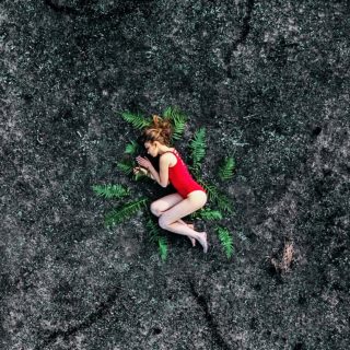 Τι πρέπει να κάνουμε για να μην αποτελέσει η “αναδάσωση” μια δεύτερη οικολογική καταστροφή