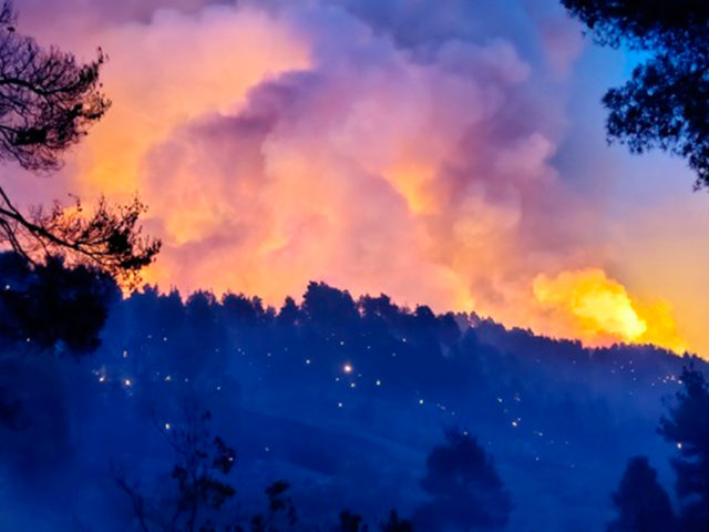 Ο Αύγουστος του 2021 θα αντηχεί για πάντα σαν ένα πνιγηρό «εκκενώστε»