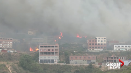 Τουλάχιστον 42 νεκροί από πυρκαγιές στην Αλγερία [ΒΙΝΤΕΟ]