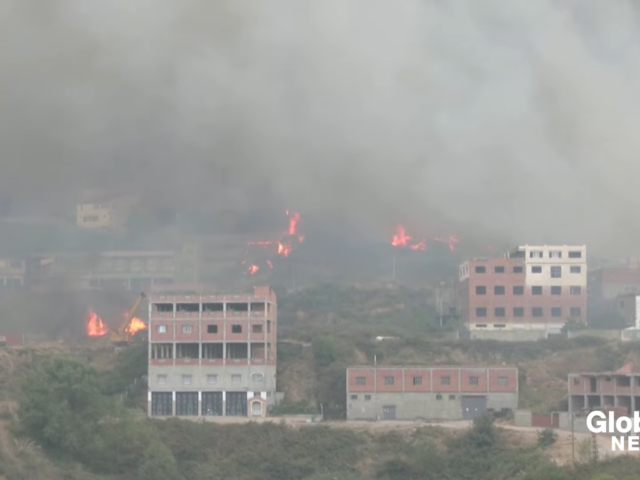 Τουλάχιστον 42 νεκροί από πυρκαγιές στην Αλγερία [ΒΙΝΤΕΟ]