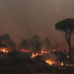 Η υπερθέρμανση του πλανήτη είναι ο κύριος ένοχος για τις δασικές πυρκαγιές στις δυτικές Ηνωμένες Πολιτείες