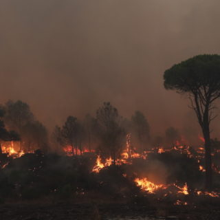 Η υπερθέρμανση του πλανήτη είναι ο κύριος ένοχος για τις δασικές πυρκαγιές στις δυτικές Ηνωμένες Πολιτείες