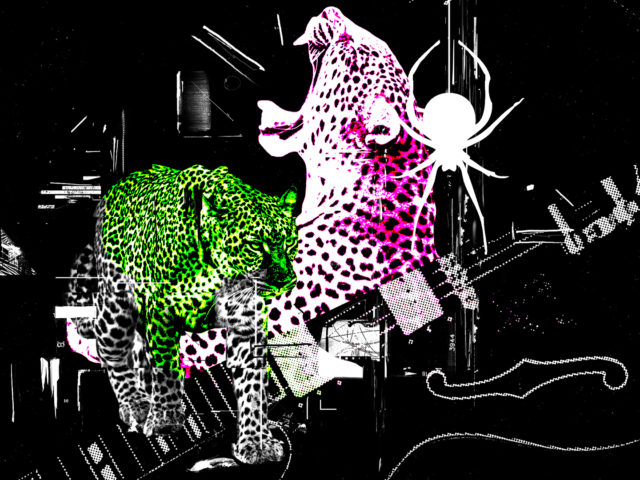 Psych-garage-rock’n’roll, psychobilly, blues-punk: Περπατώντας με τα θηρία