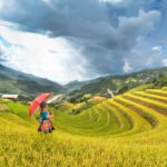 Το 2020 ήταν η πιο ζεστή χρονιά που έχει καταγραφεί ποτέ στην Ασία