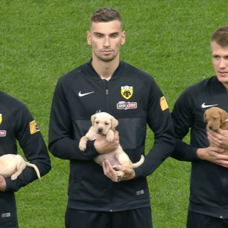 Με αδέσποτα κουτάβια στην αγκαλιά τους οι παίκτες της ΑΕΚ στο γήπεδο