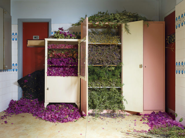 Η έκθεση reality check στο Δαφνί προξενεί αυτό που υπόσχεται