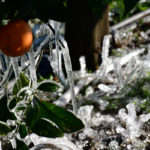 Υπό το μηδέν και ισχυρός παγετός στη Βόρεια Ελλάδα